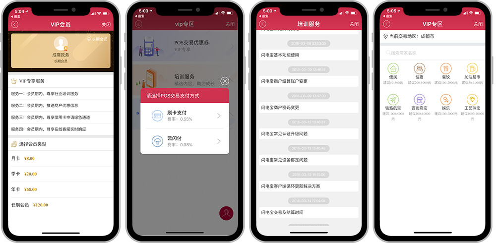 闪电宝VIP功能使用介绍页面
